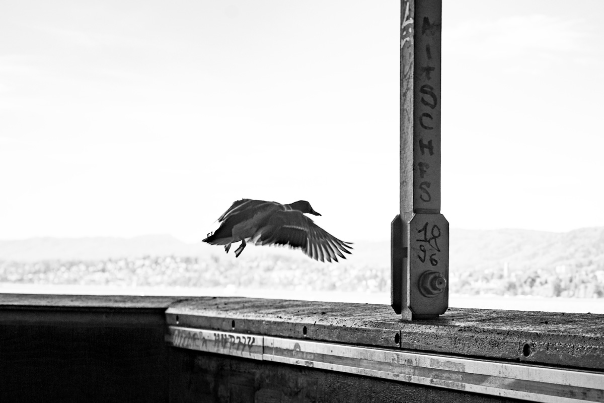 streetphotography Latest Work